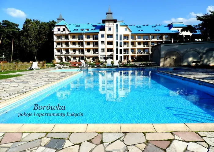 Borowka W Blue Mare