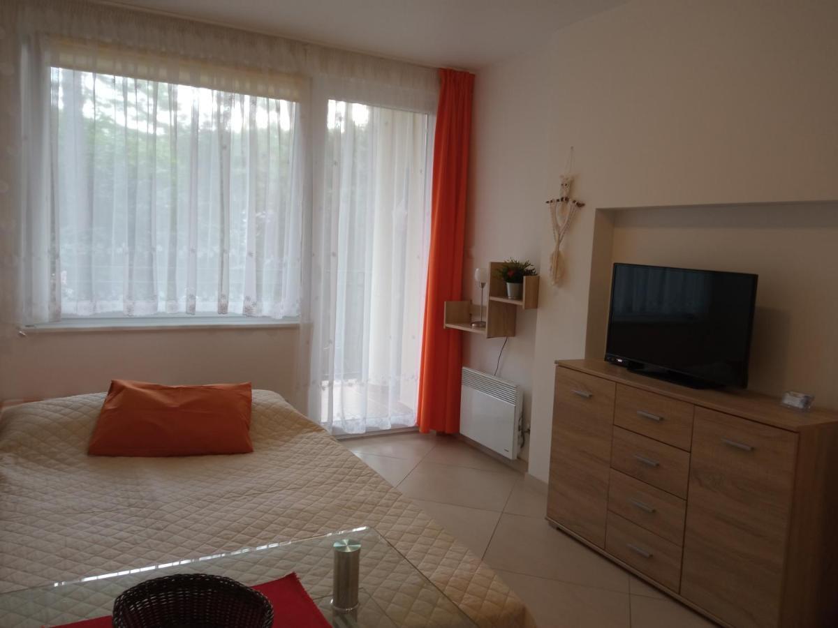 Apartment Borowka W Blue Mare