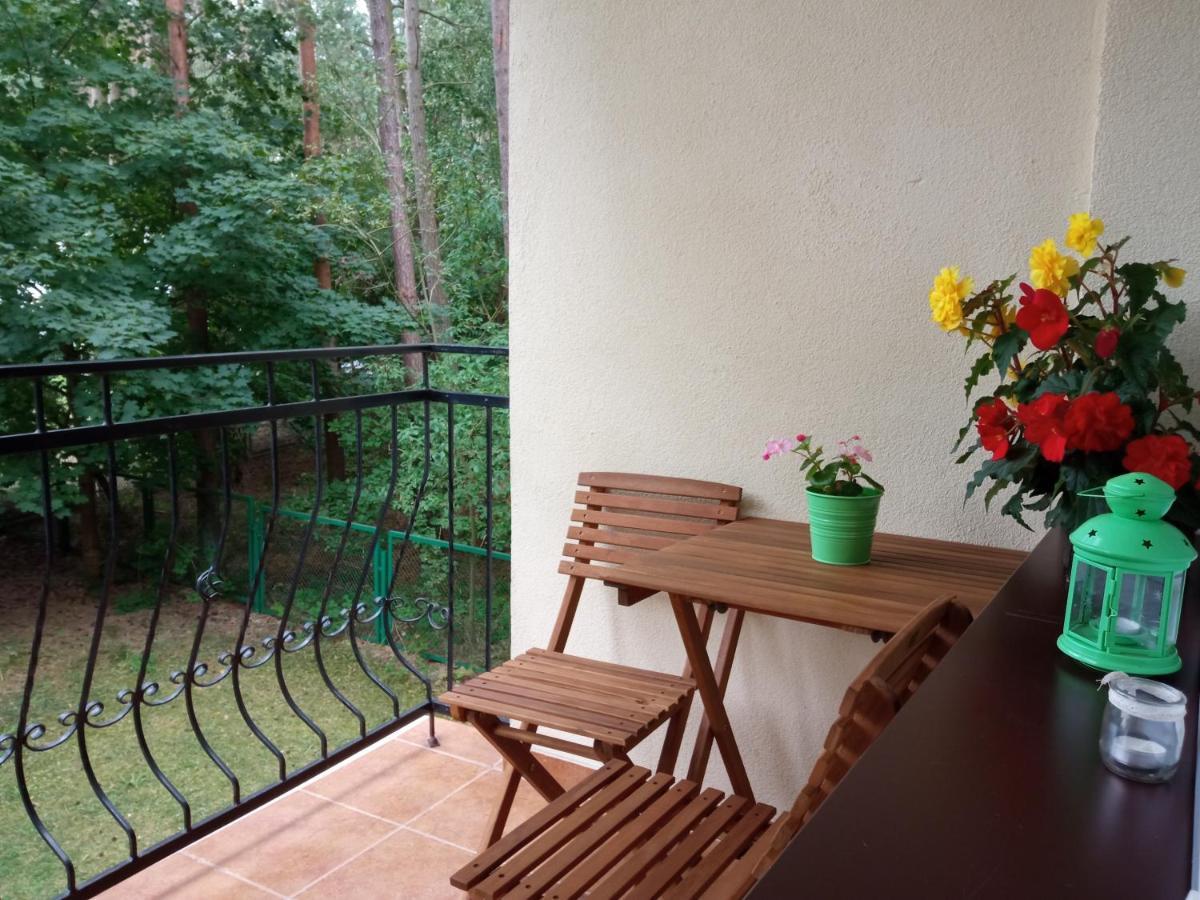 Borowka W Blue Mare Apartment Lukecin