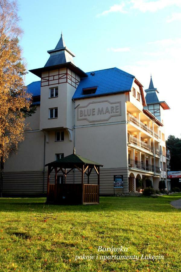 Borowka W Blue Mare Apartment Lukecin
