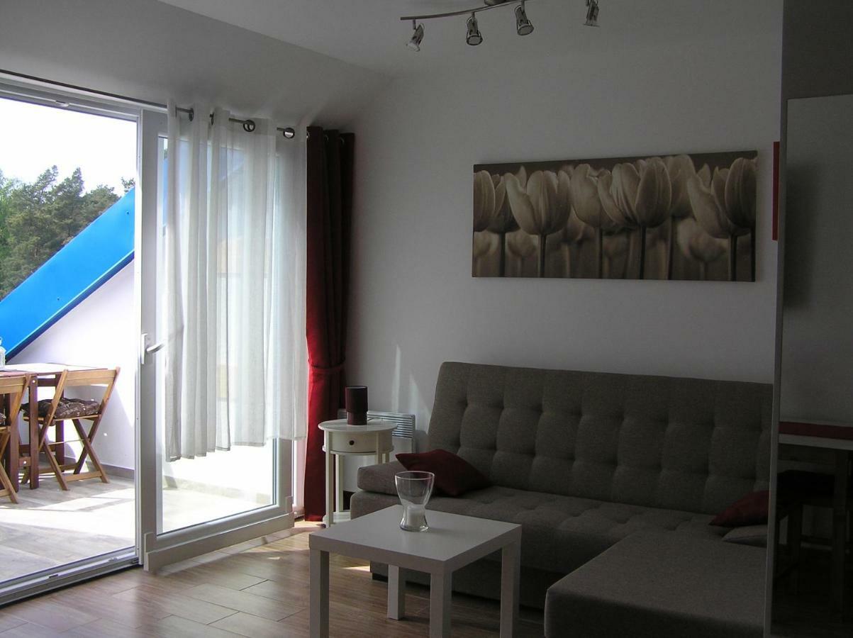 Borowka W Blue Mare Apartment